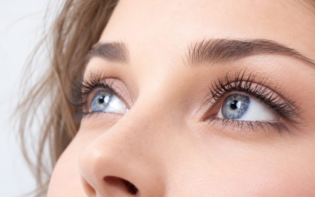 La cornea